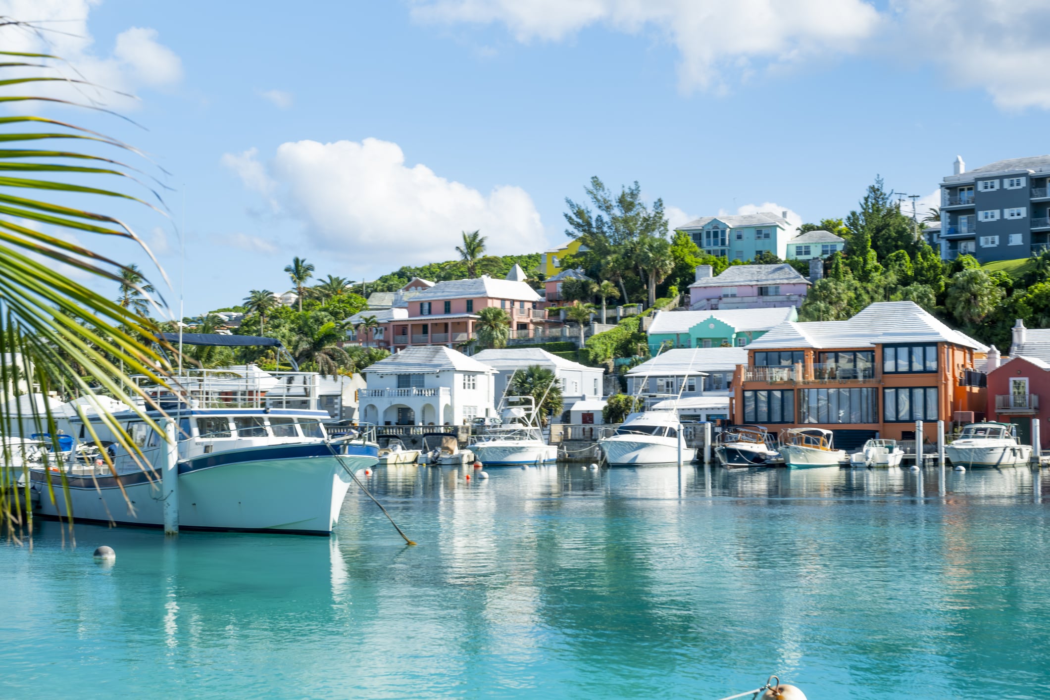 Famous Flatt's In Bermuda